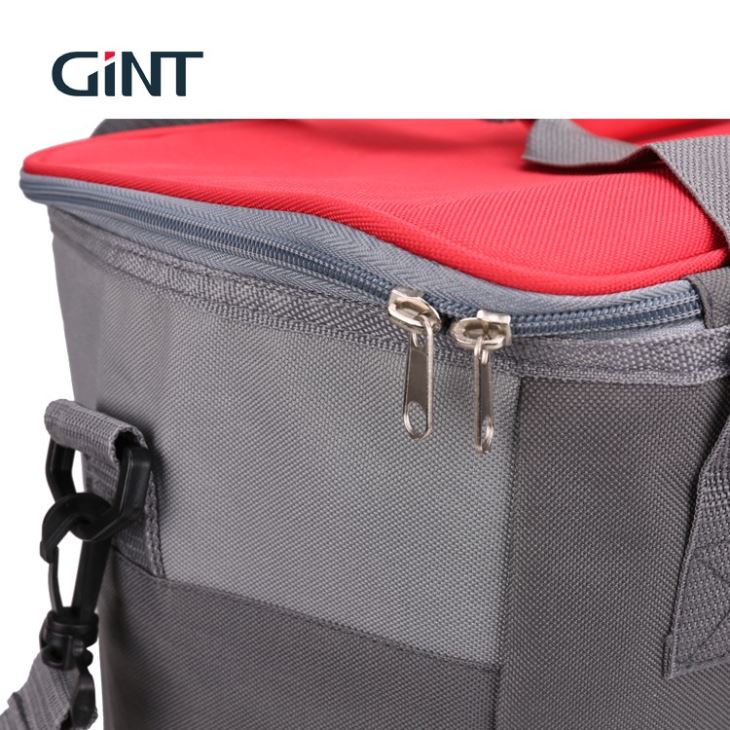 Soft Insulated Food Bag