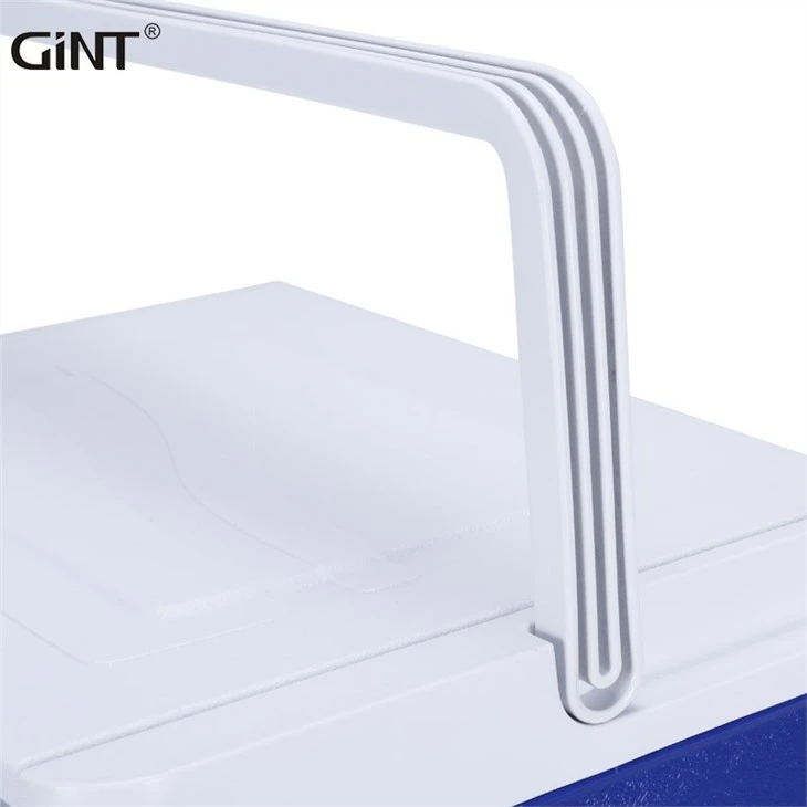 Outdoor Waterproof Plastic Cooler Box Custom Portable 25 L Thermal Insulated Ice Cooler With Handle Lid